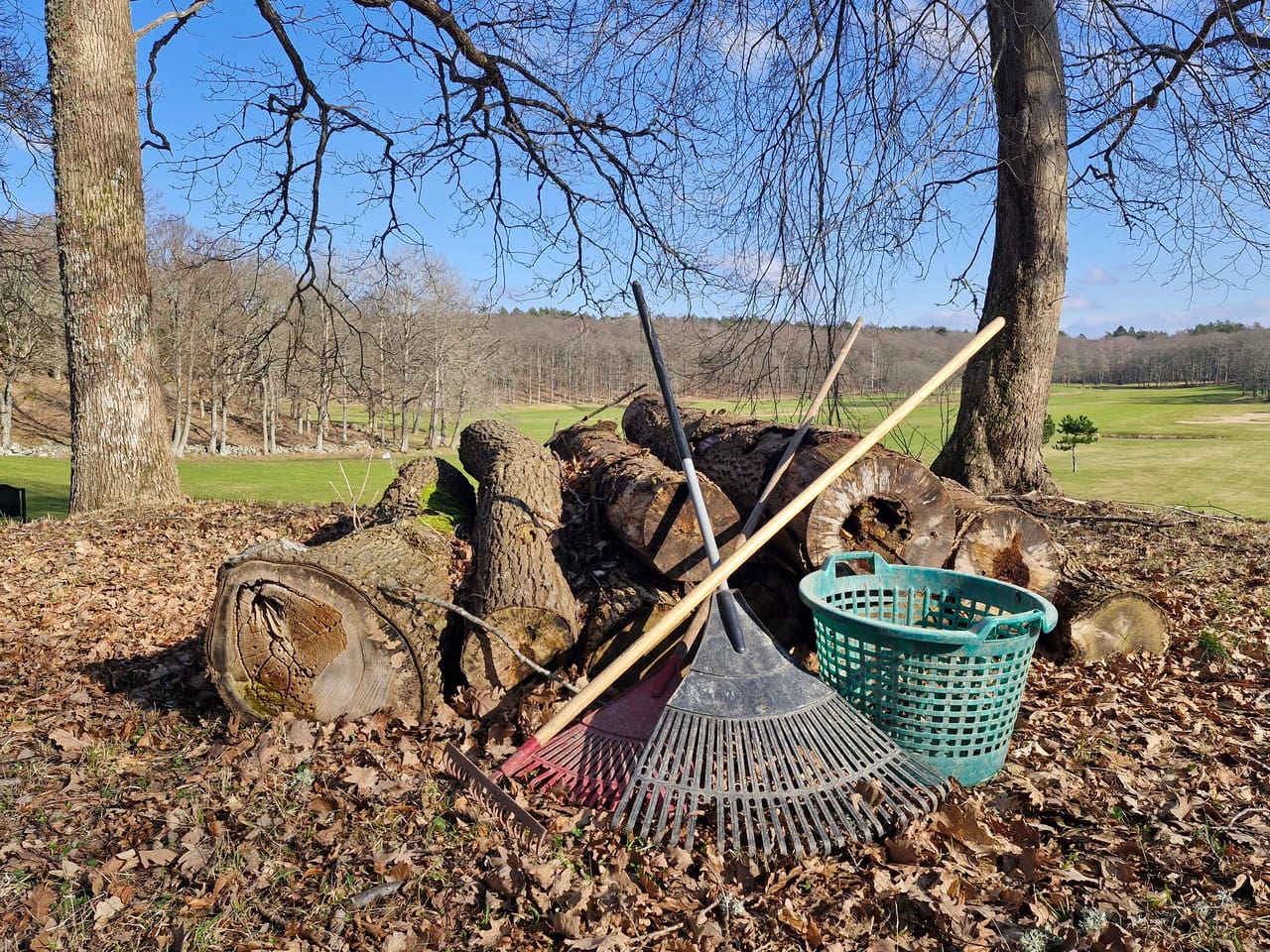 STÄDDAG imorgon lördag!!