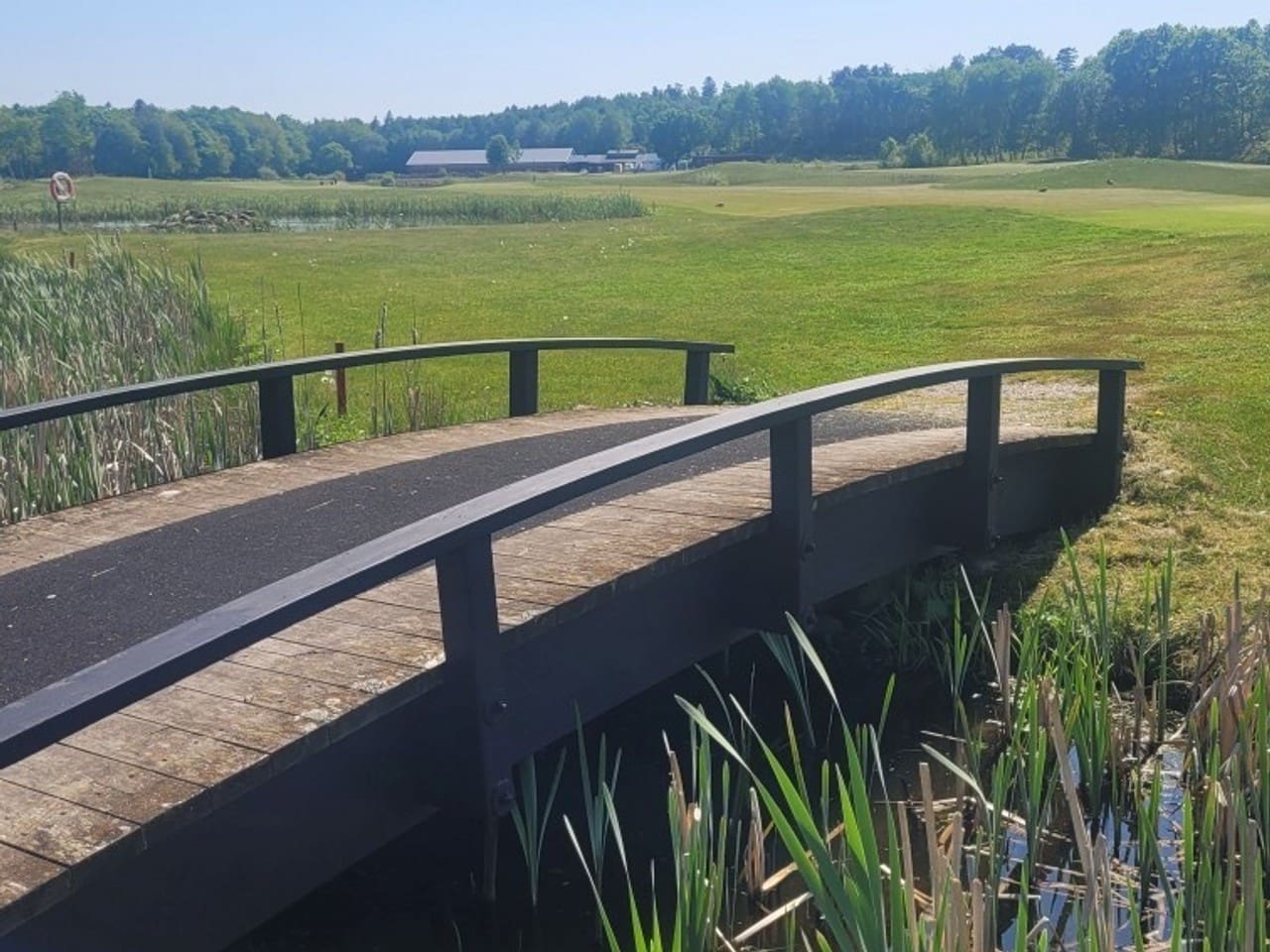 Årsmötesprotokoll 2026